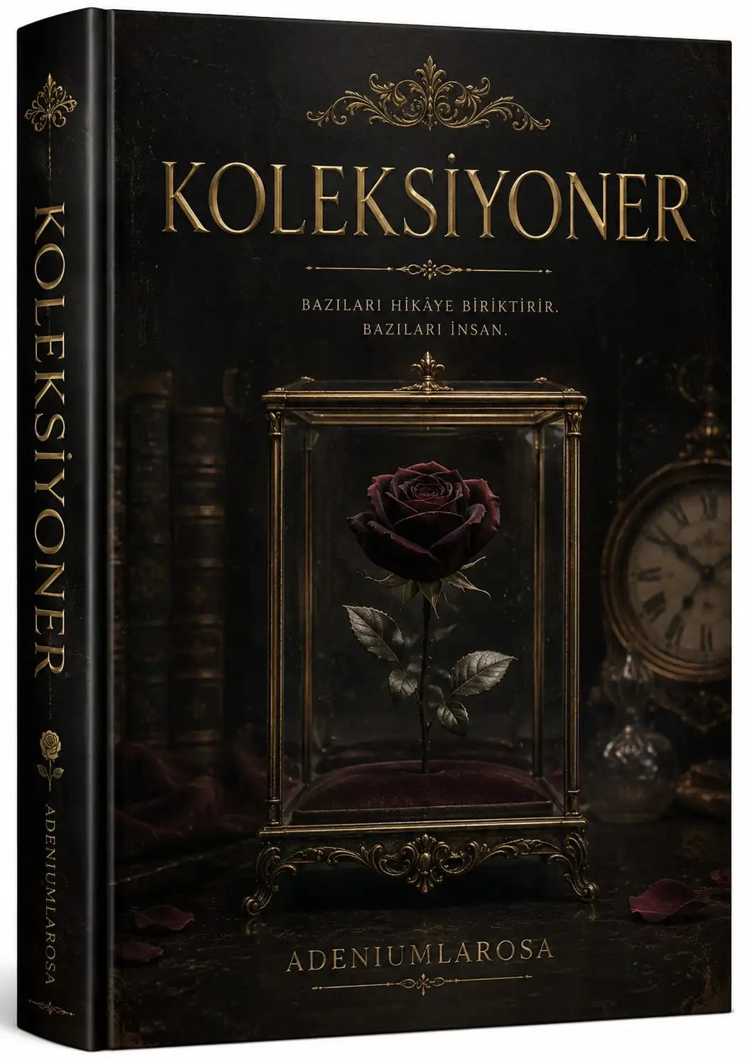 KOLEKSİYONER kitap kapağı