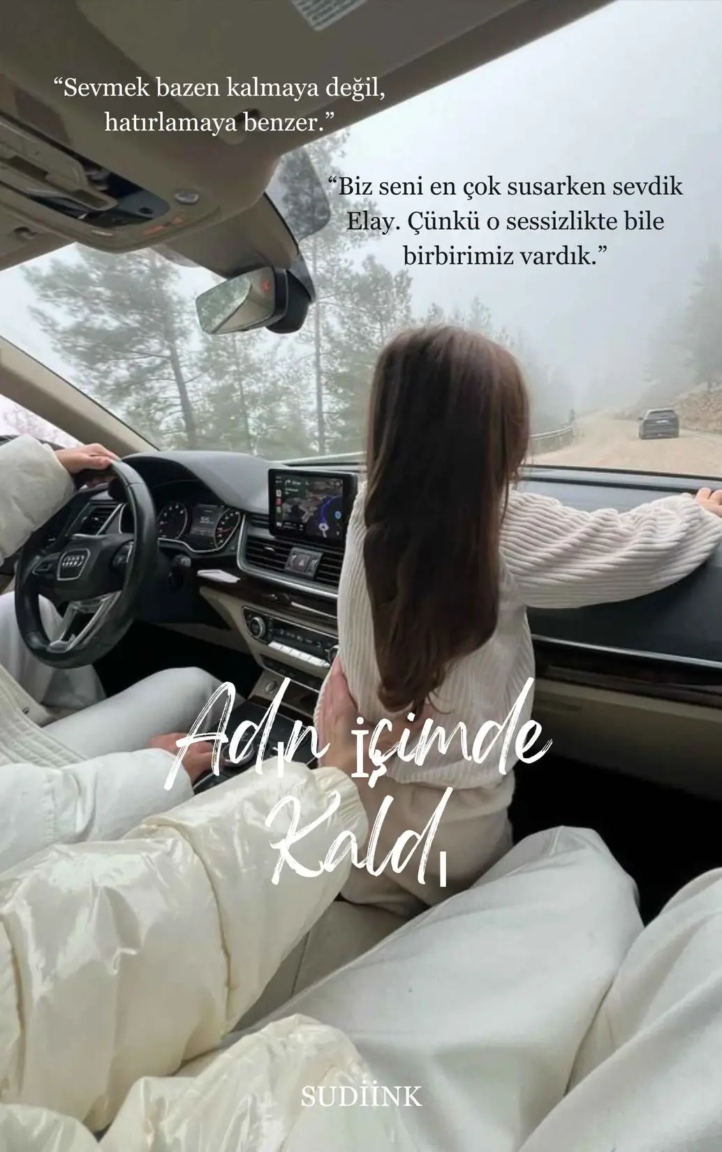 -ADIN İÇİMDE KALDI- kitap kapağı