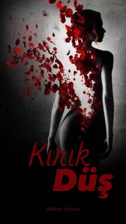 Kırık Düş kitap kapağı