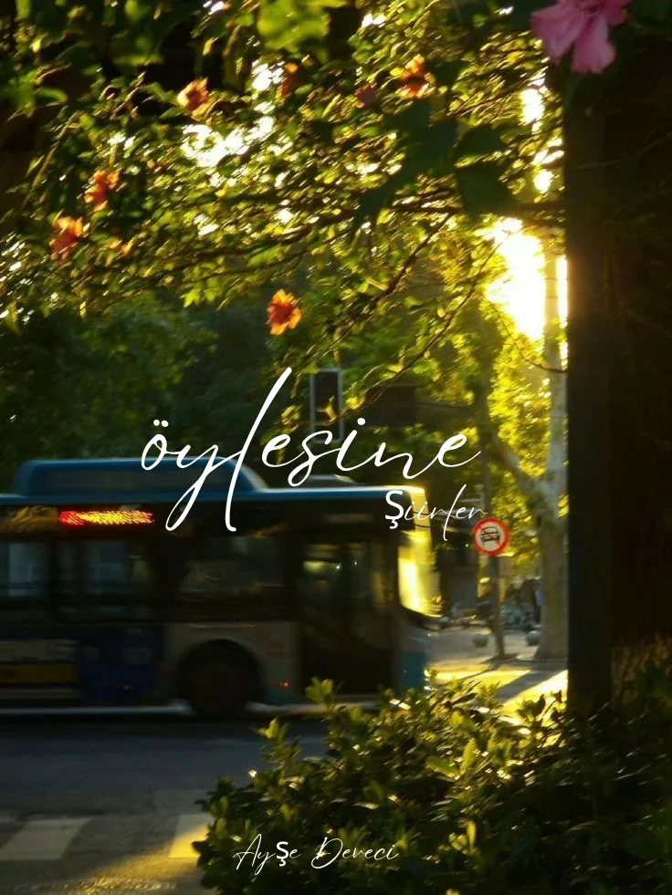 Öylesine "Şiirler" — Ayşe Deveci