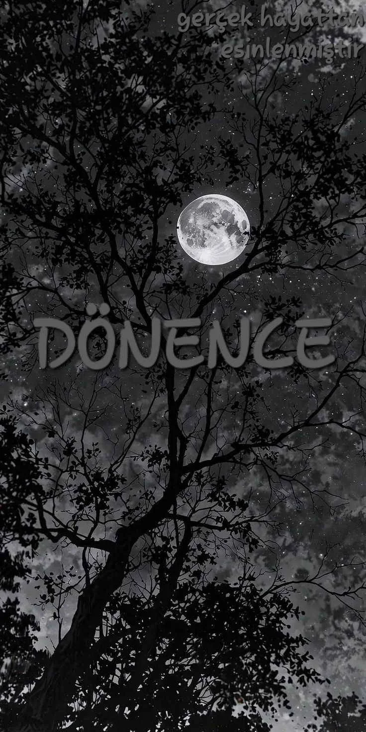 Dönence kitap kapağı