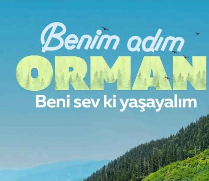 Ormanda 3. Gün kitap kapağı
