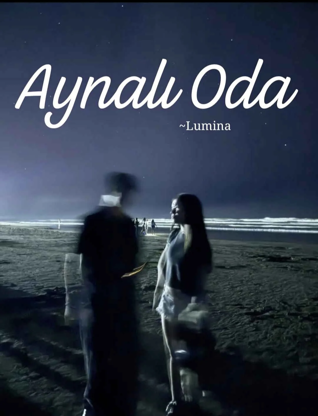 Aynalı Oda kitap kapağı