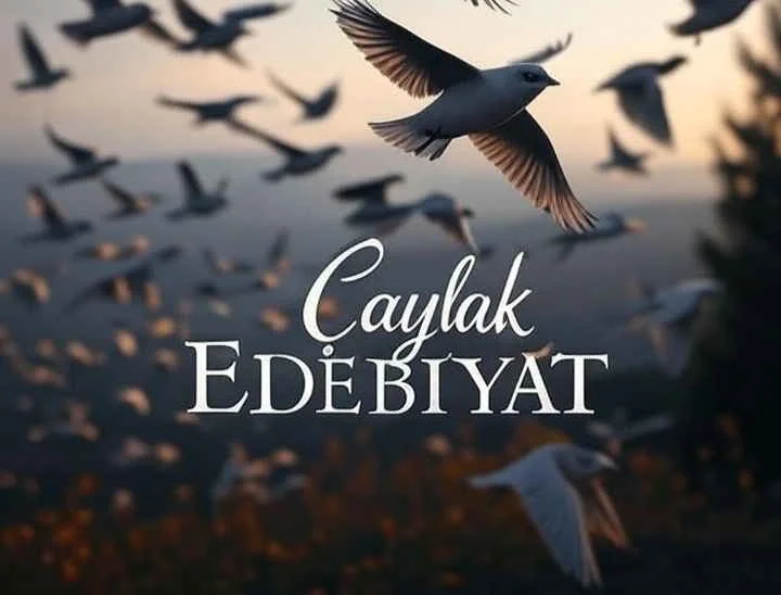 Çaylak Edebiyat Dergisi Sayı:1 kitap kapağı