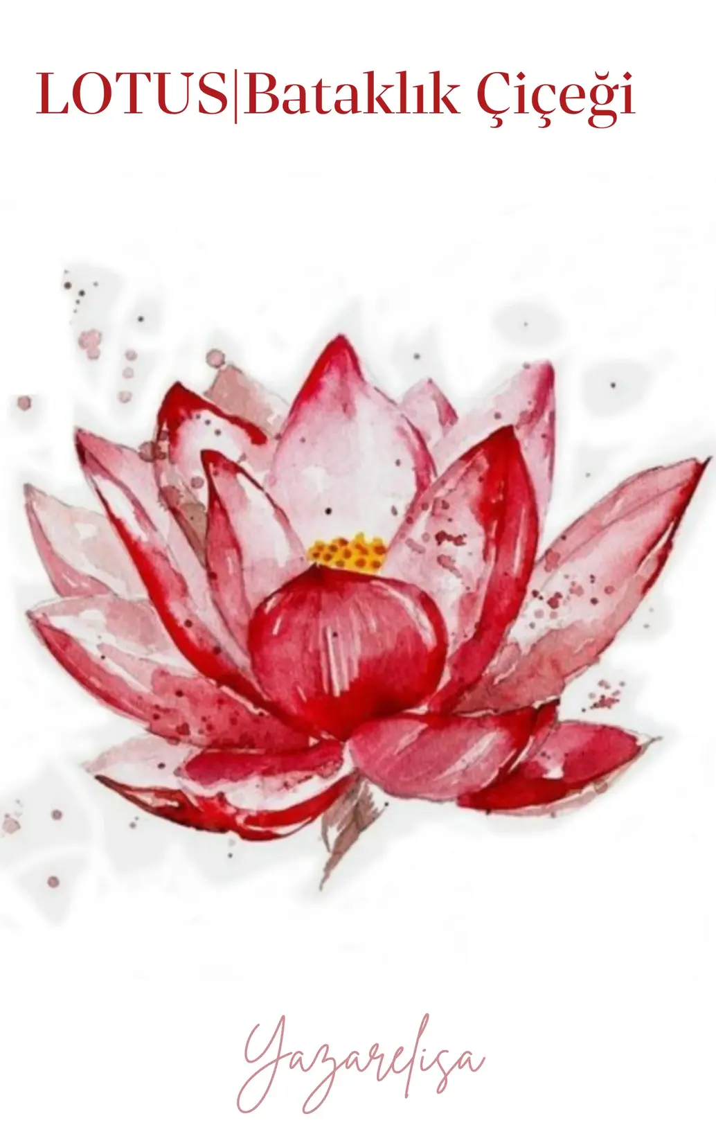 LOTUS|Bataklık Çiceği kitap kapağı