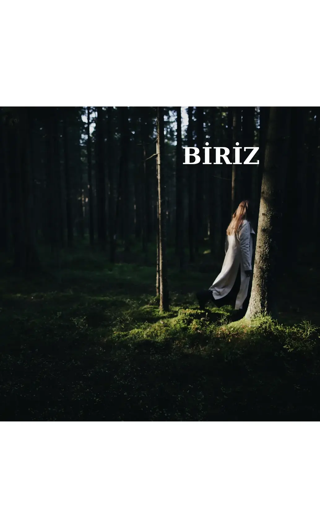 BİRİZ kitap kapağı