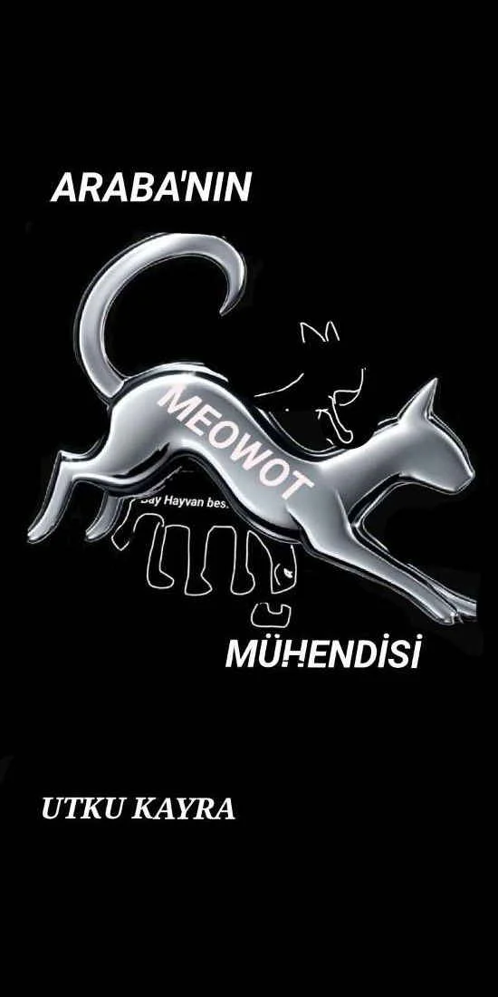 Arabanın mühendisi — Utku Kayra