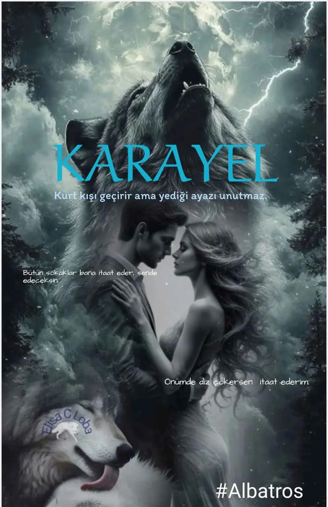 KARAYEL kitap kapağı