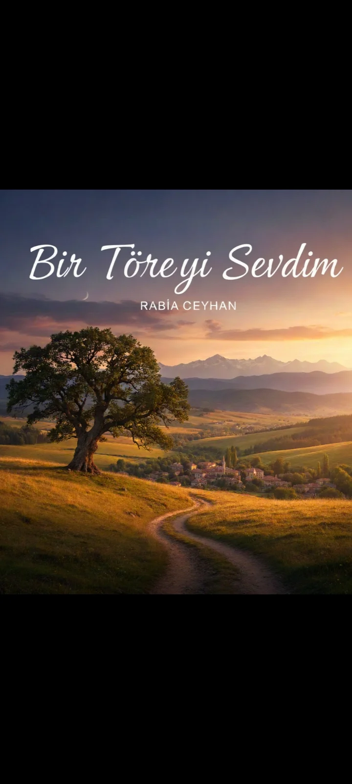 BİR TÖREYİ SEVDİM — Şair Kara
