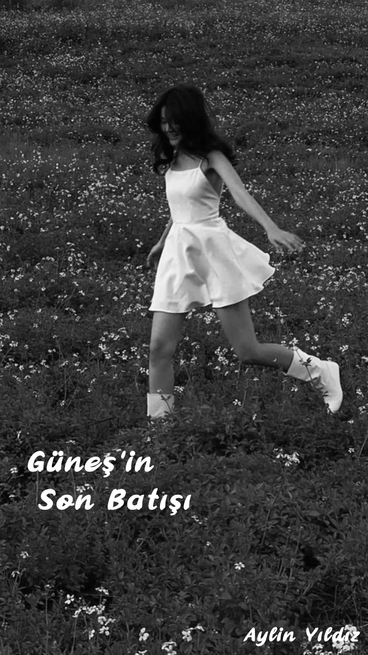 Gerçek ailem " Güneş'in Son Batışı " kitap kapağı