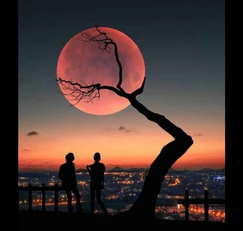 Aya Bakan Yıldız kitap kapağı