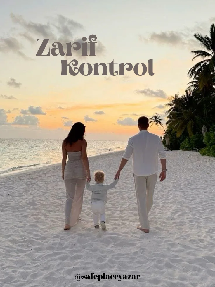 Zarif Kontrol kitap kapağı