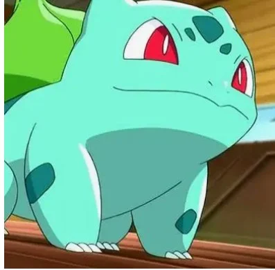 The bulbasaur — Muhammed Krs36