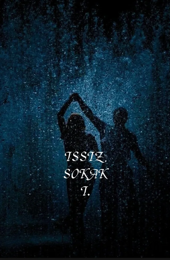 Issız sokak (1) kitap kapağı