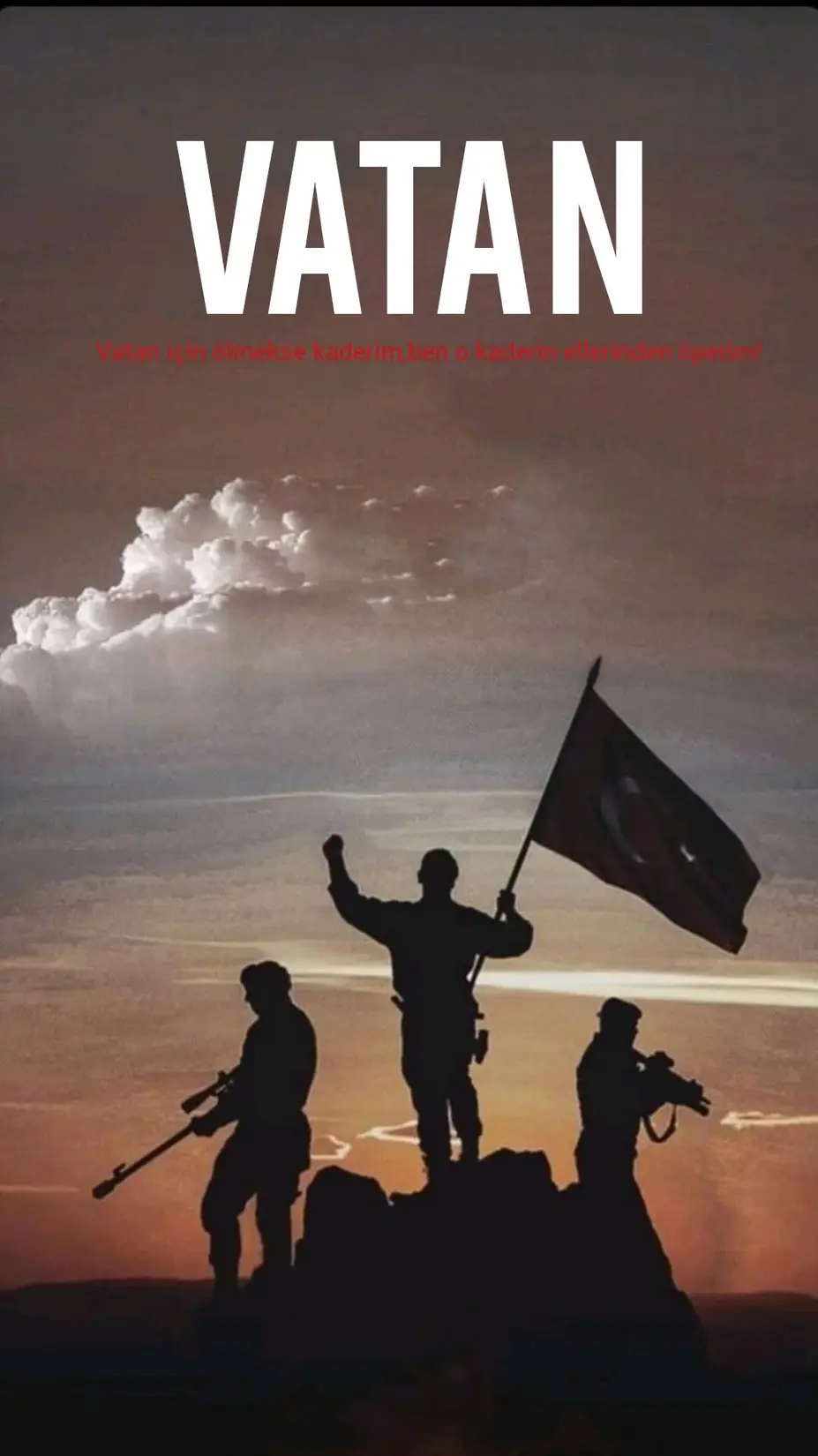 VATAN kitap kapağı
