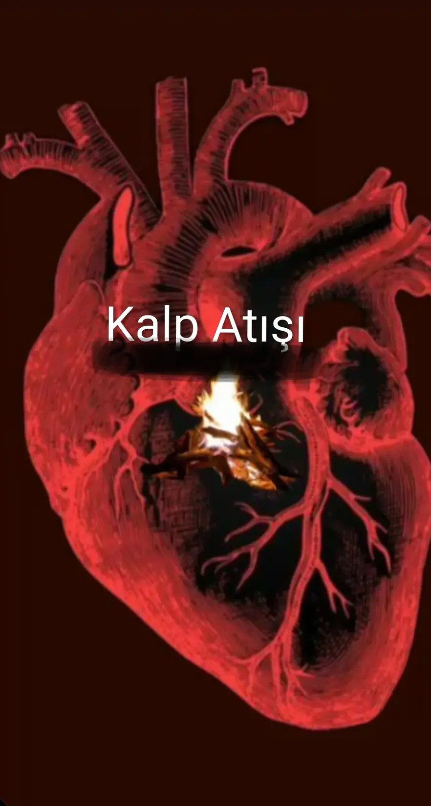 Kalp Atışı kitap kapağı