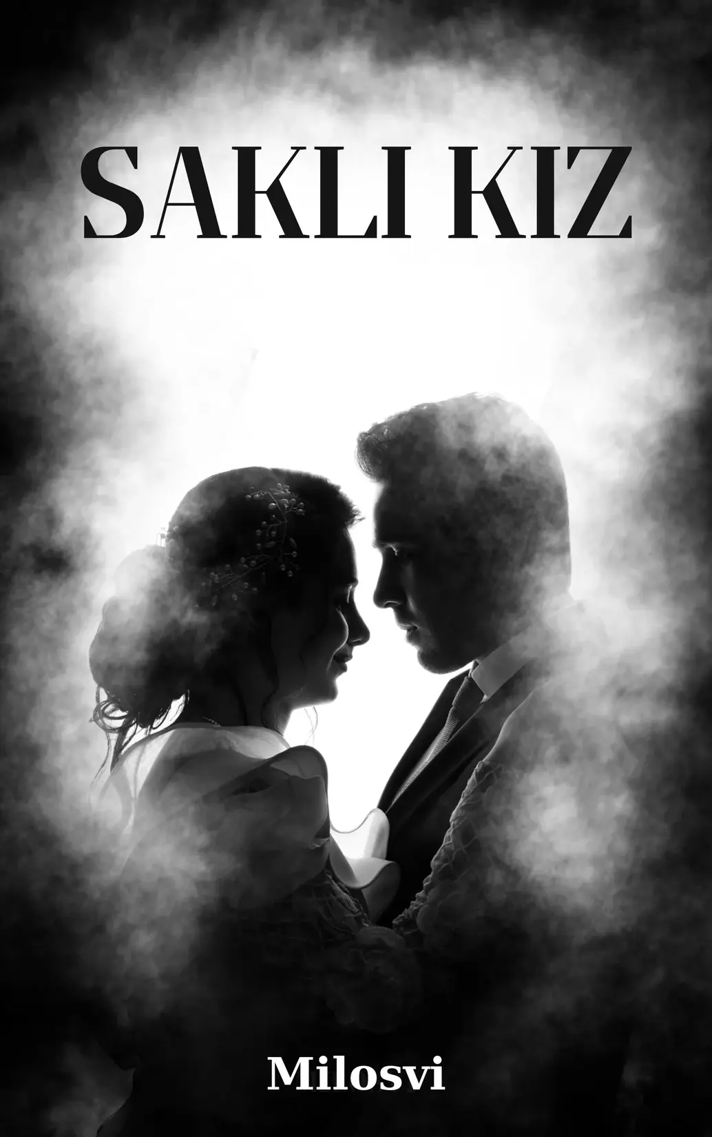 Saklı Kız kitap kapağı