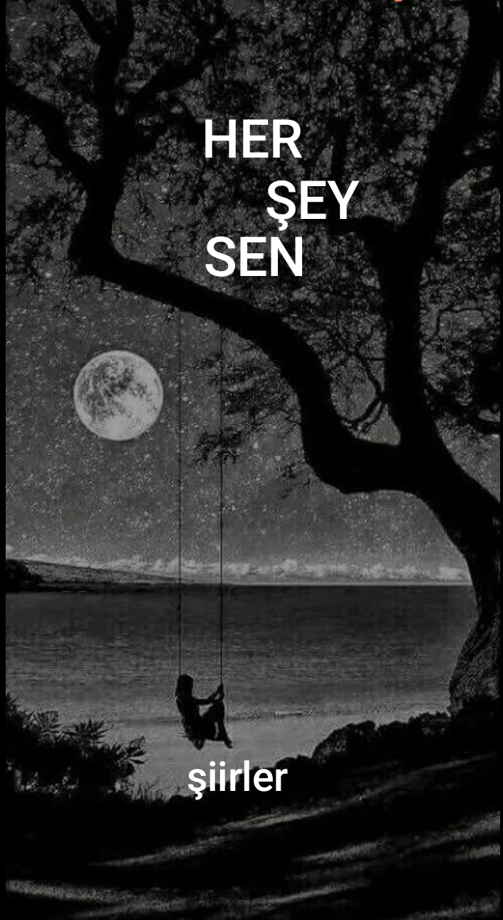 HER ŞEY SEN — Karışıkaset _