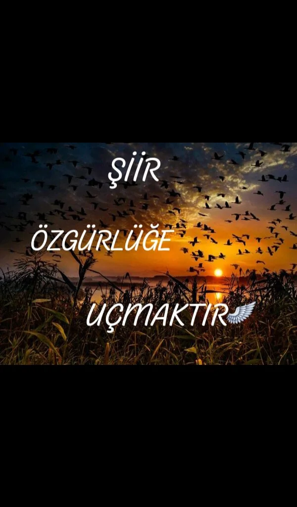 Şiir Özgürlüğe Uçmaktır — Reyhan Altınoluk
