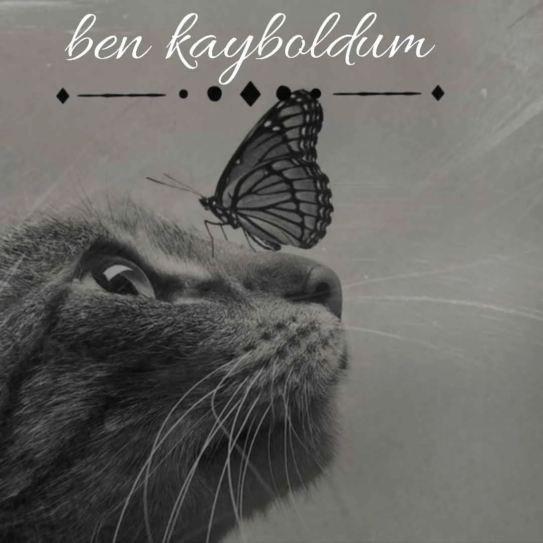 Ben kayboldum kitap kapağı