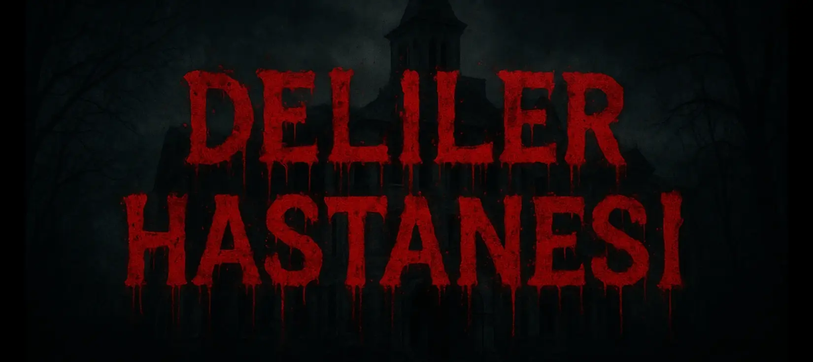 Deliler Hastanesi kitap kapağı