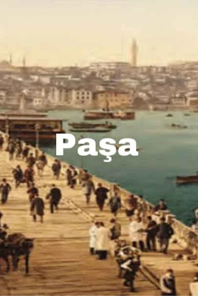 Paşa kitap kapağı