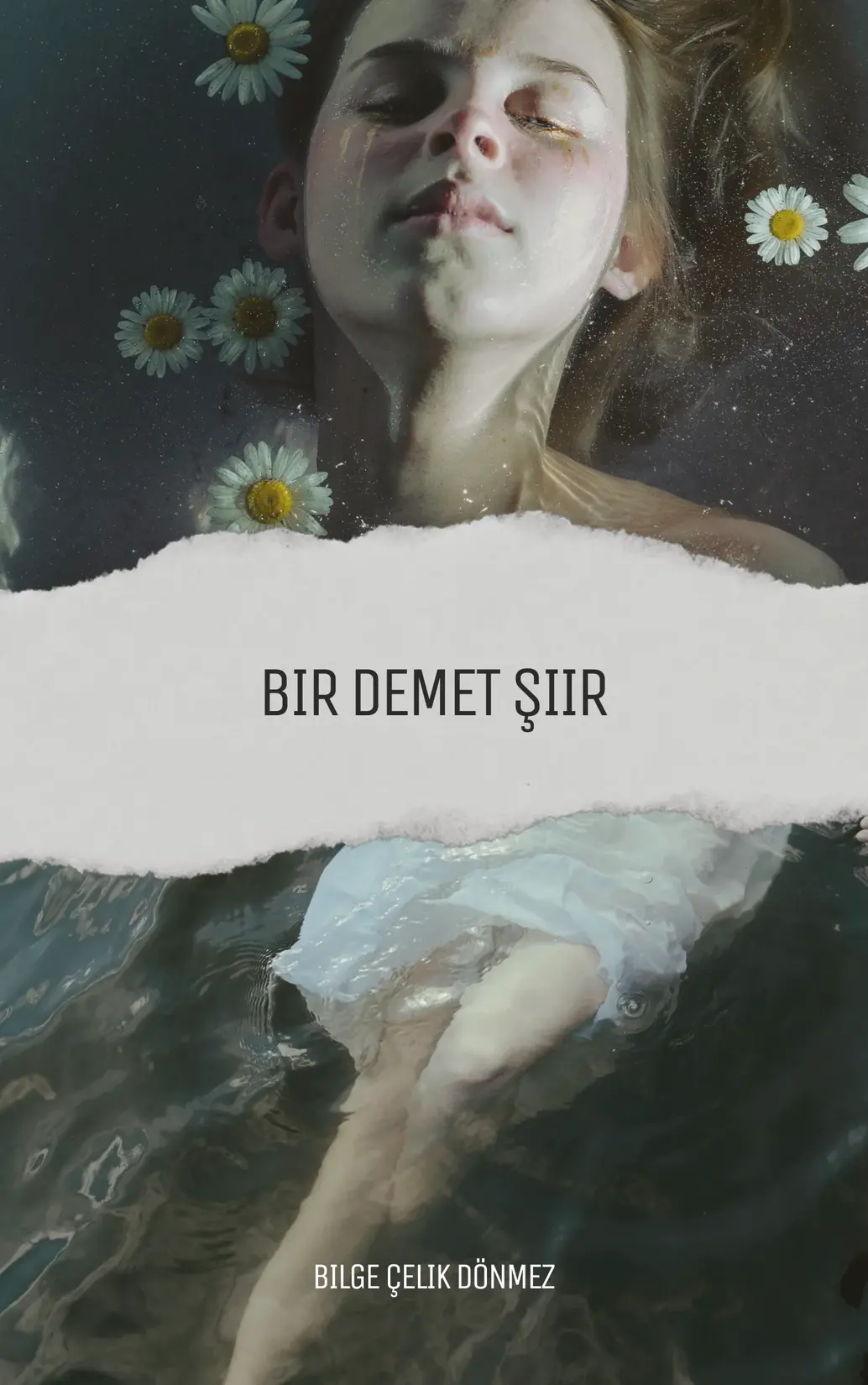 Bir Demet Şiir kitap kapağı