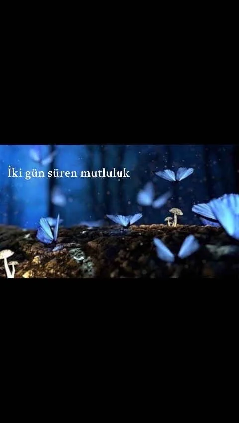 Zehirli Aşk — Aren._ Anonim