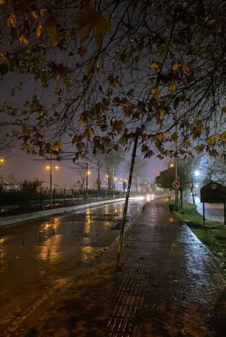 UNUTULAN RÜZGAR kitap kapağı