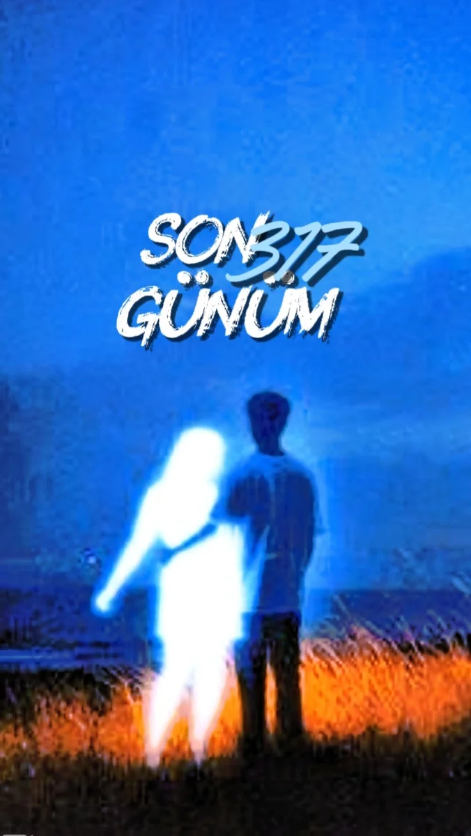 Son 317 Günüm kitap kapağı