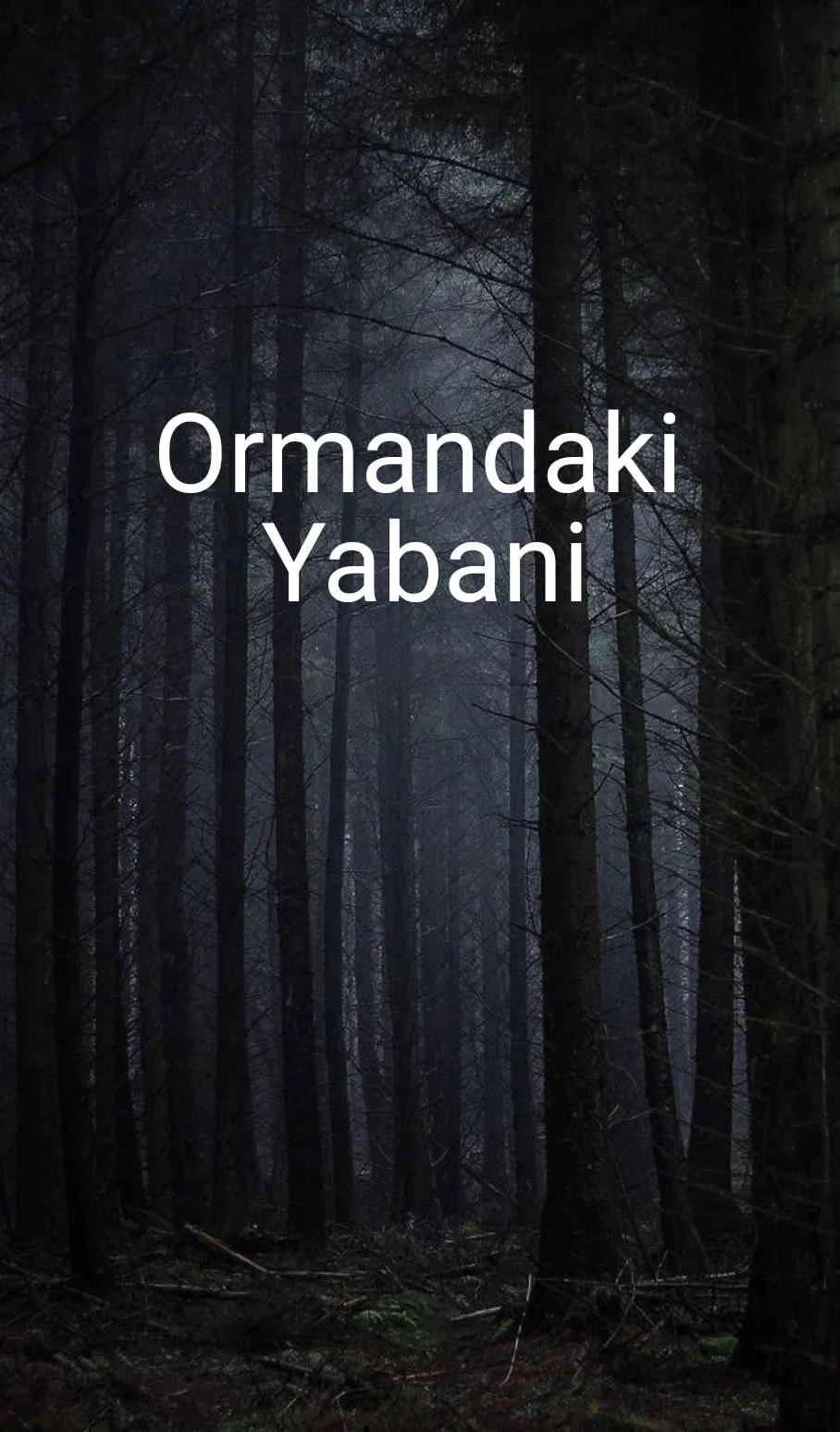 Ormandaki yabani kitap kapağı
