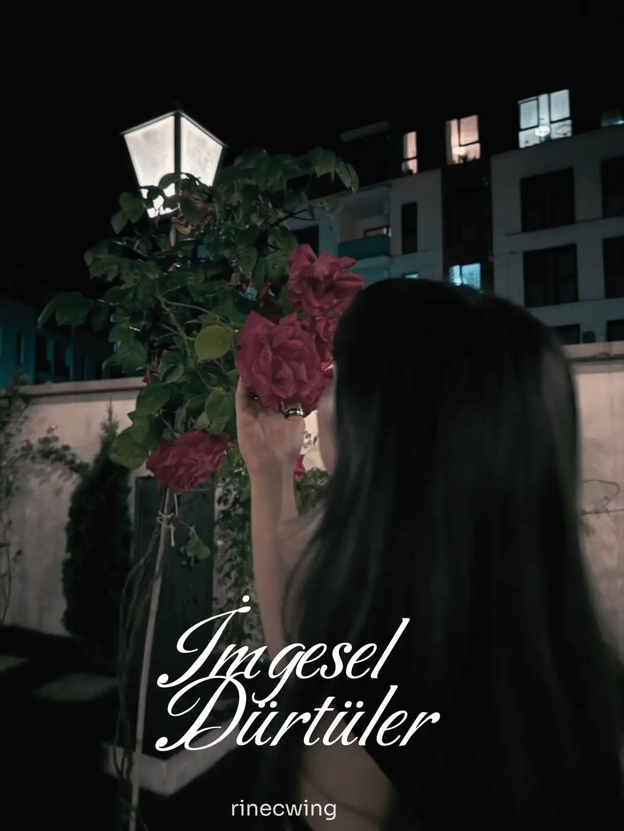 İmgesel Dürtüler kitap kapağı