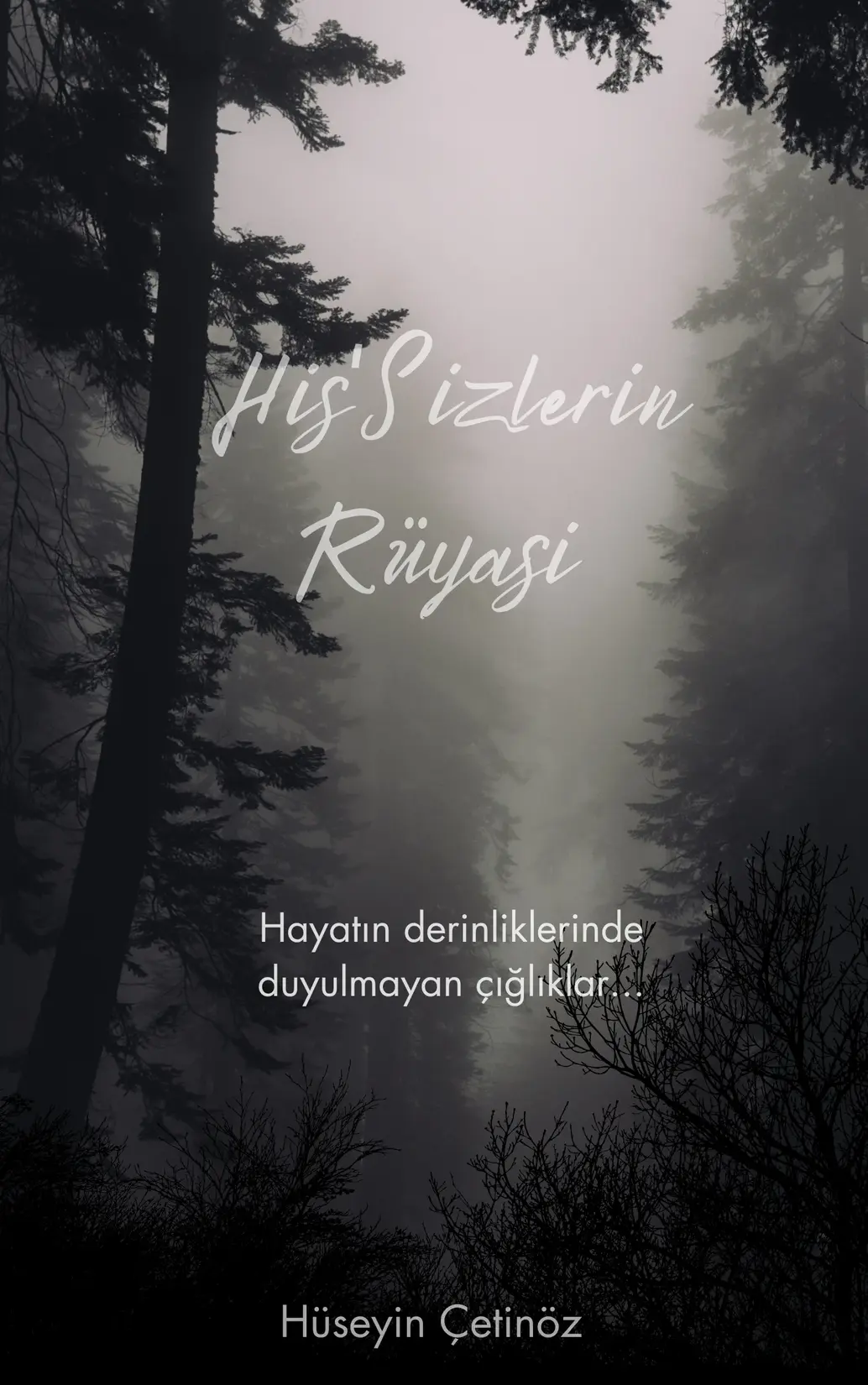 His'Sizlerin Rüyası kitap kapağı