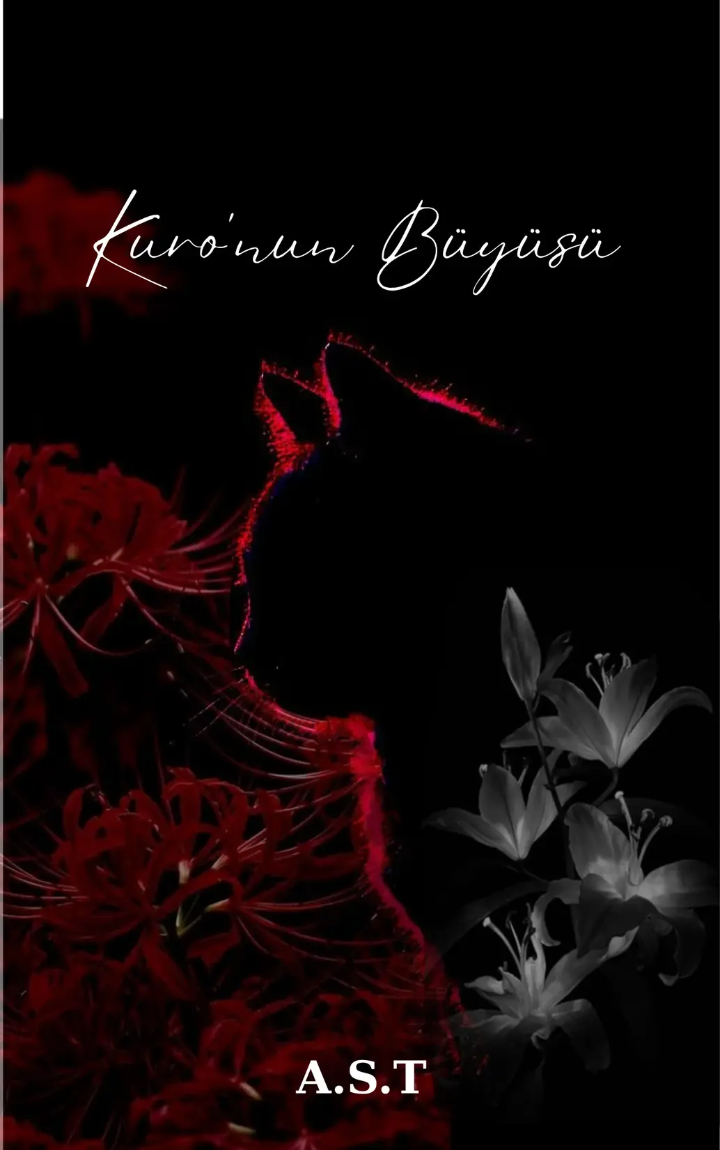 Kuro'nun Büyüsü kitap kapağı