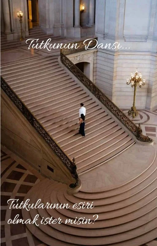 Tutkunun Dansı kitap kapağı