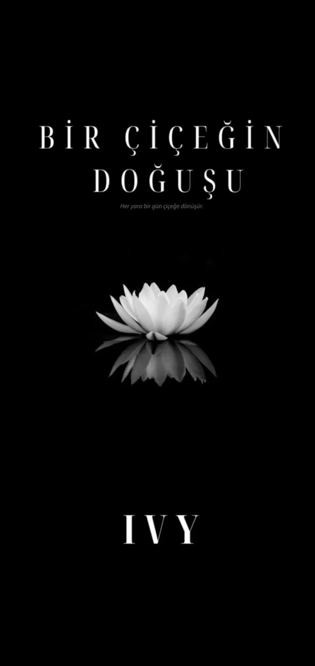BİR ÇİÇEĞİN DOĞUŞU — Ivy ★