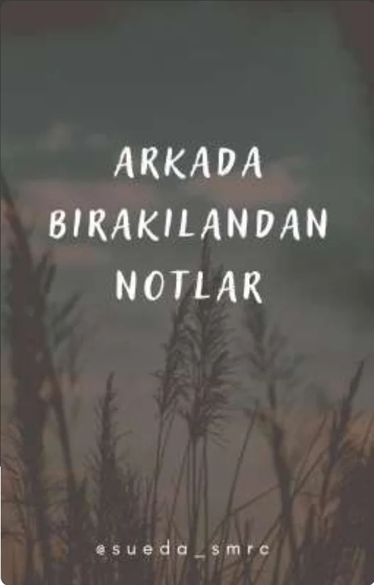 Arkada Bırakılandan Notlar kitap kapağı