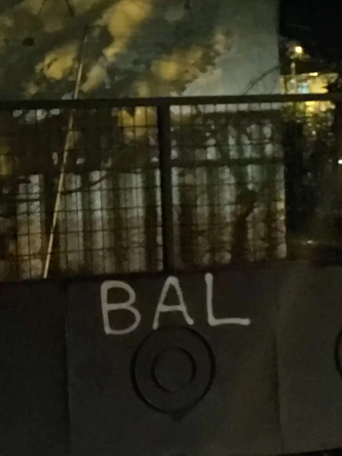 Bal kitap kapağı