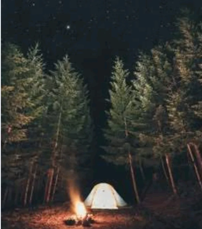 Kampta beş gün kitap kapağı