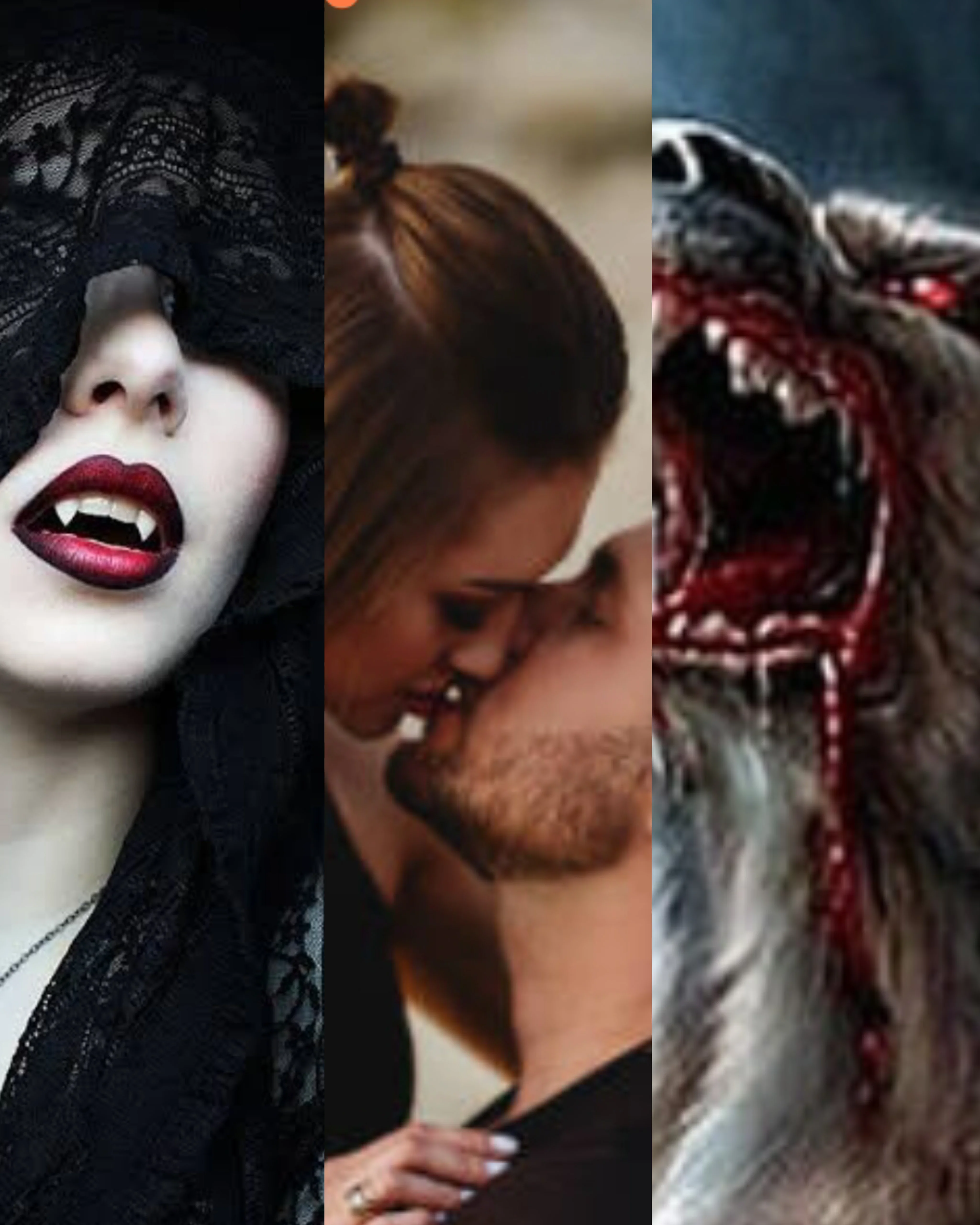 Kurtun vampiri — Oguz Dönmez