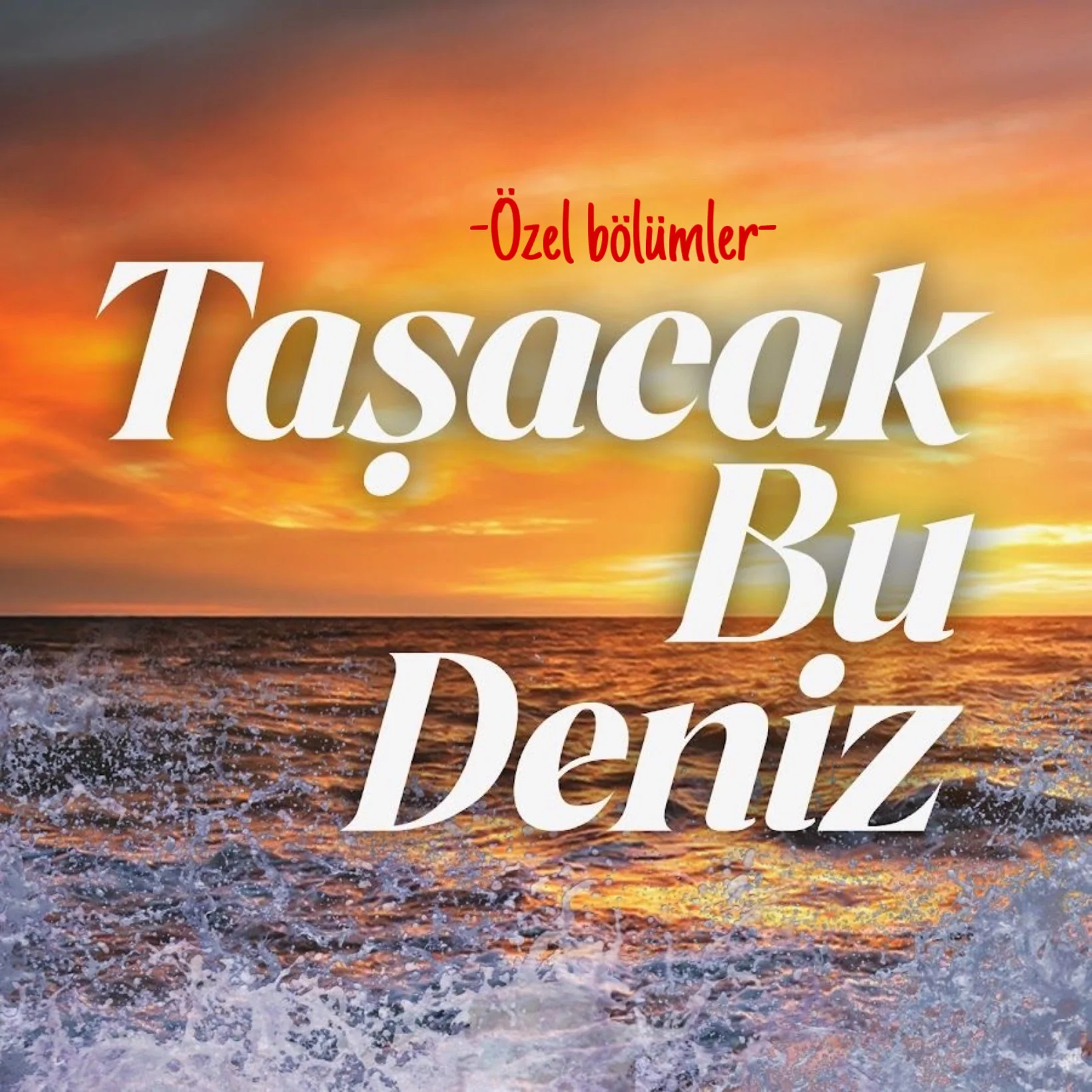TAŞACAK BU DENİZ ÖZEL BÖLÜMLER — Gece Kuşu