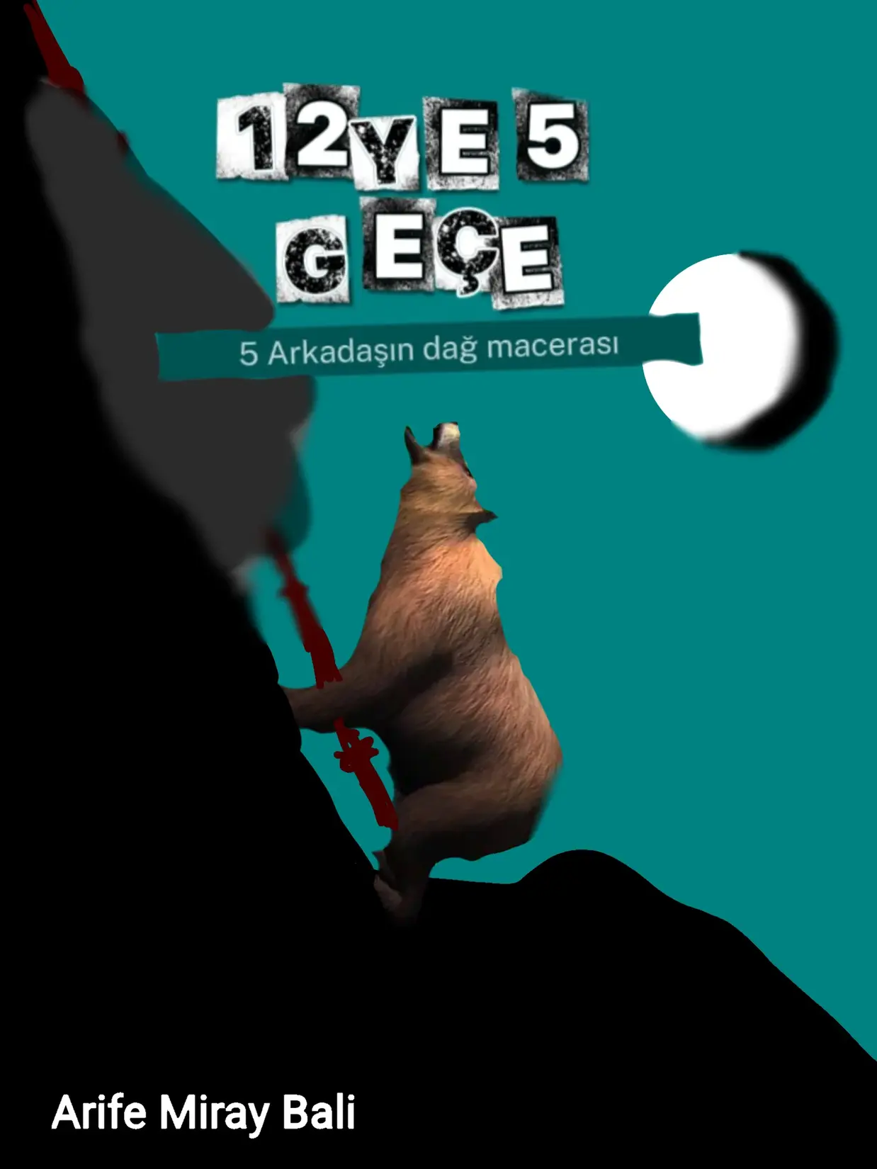 12YE 5 GEÇE kitap kapağı