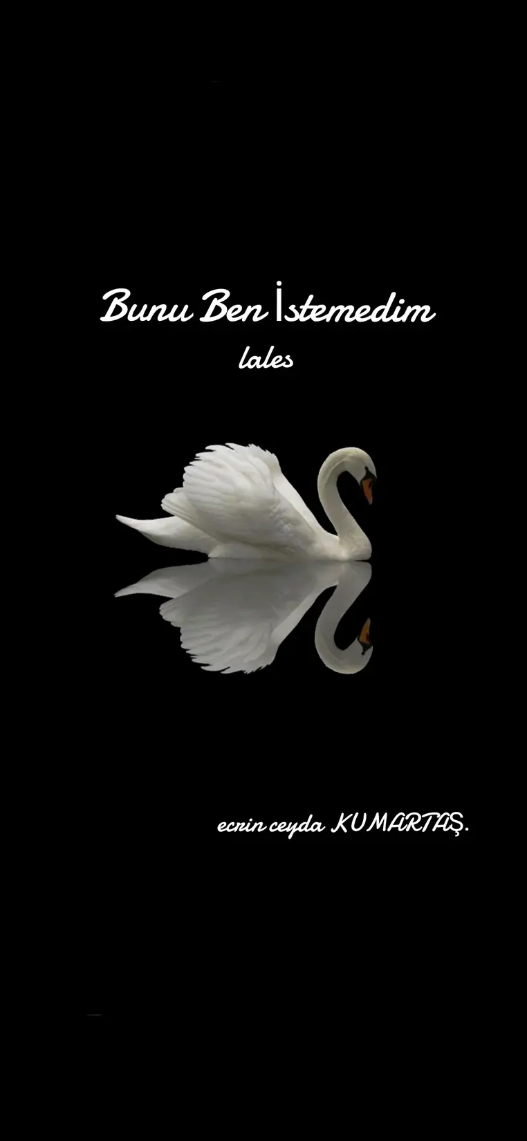 Bunu Ben İstemedim kitap kapağı