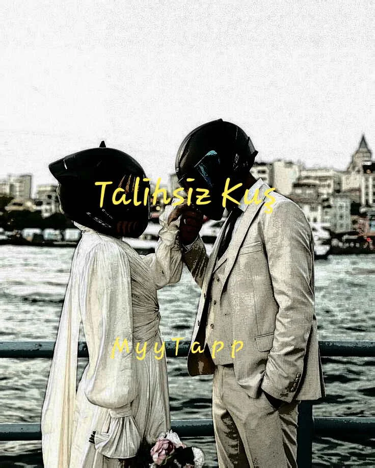 Talihsiz Kuş — Maysa Pıtır