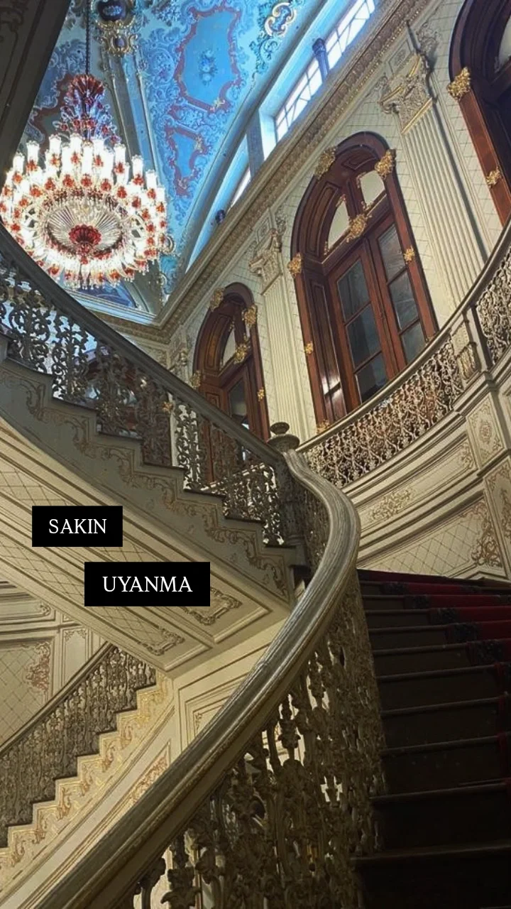 SAKIN UYANMA kitap kapağı