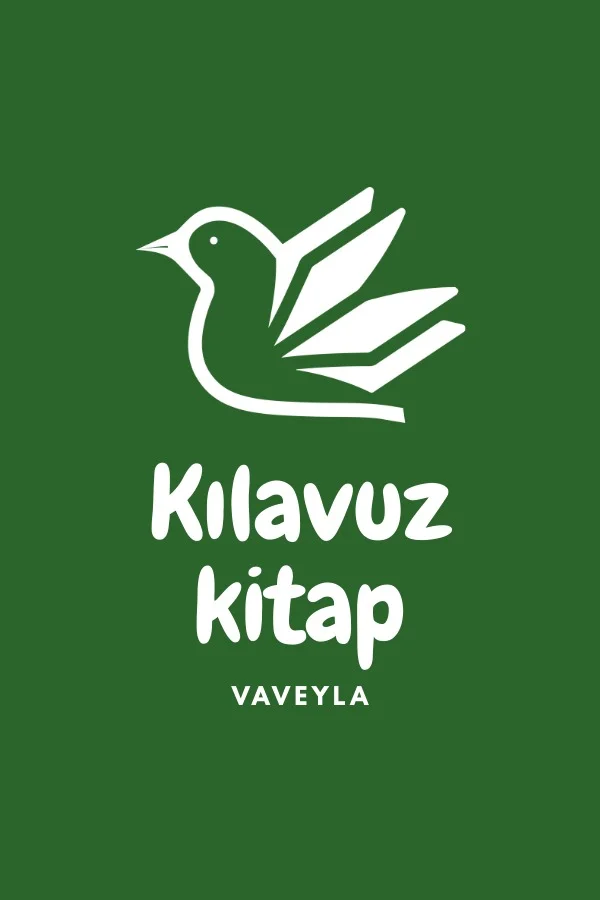 Kılavuz Kitap kitap kapağı