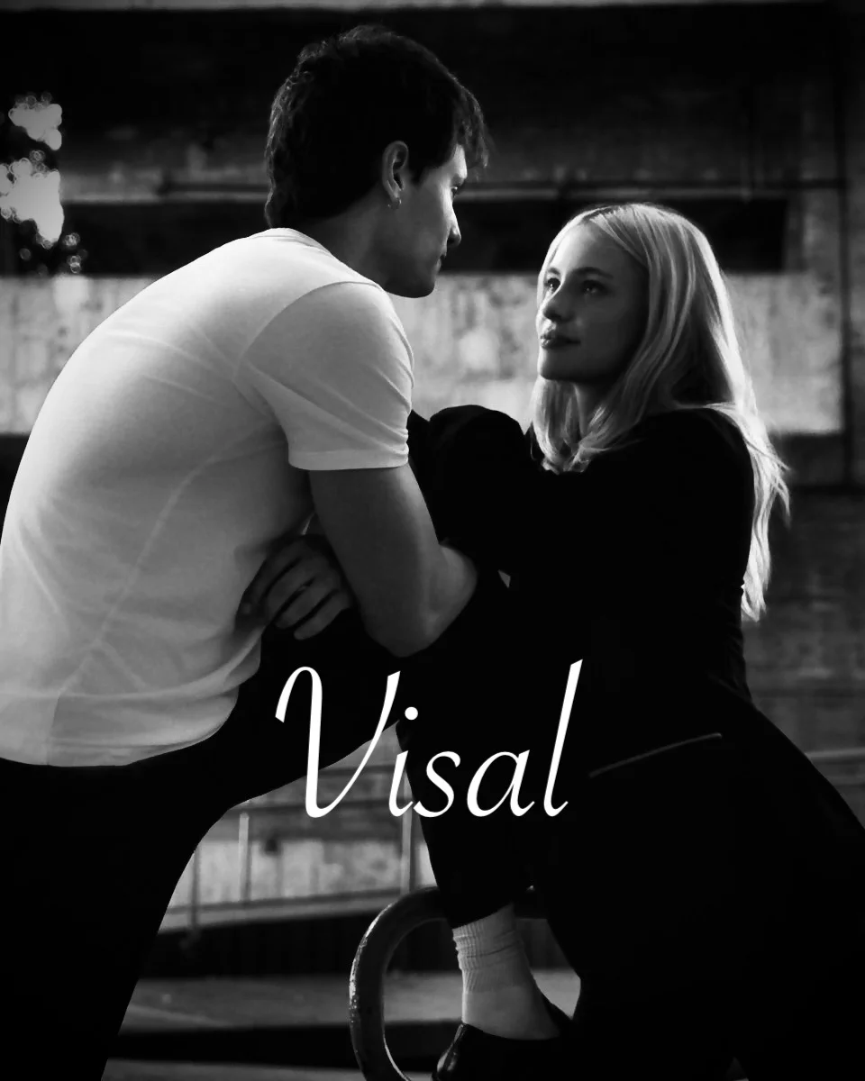 Visal. kitap kapağı