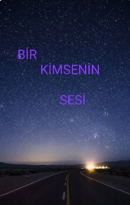 Bir Kimsenin Sesi kitap kapağı
