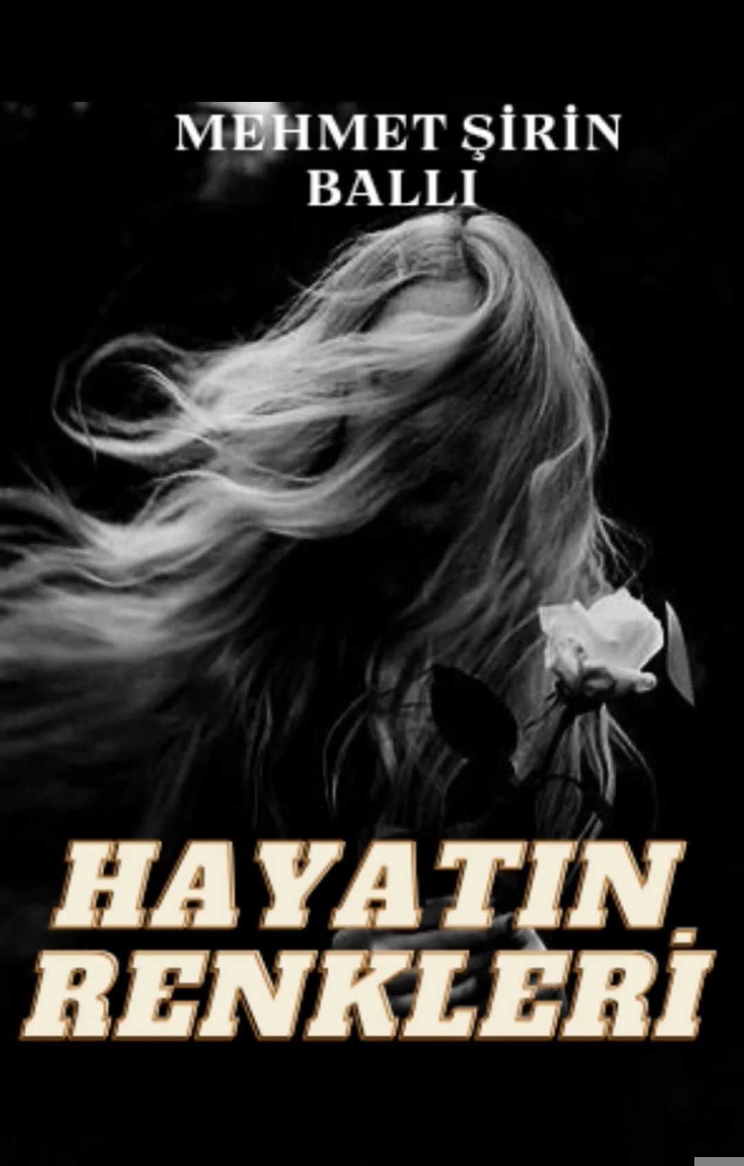 Hayatın Renkleri — Mehmet şirin Ballı