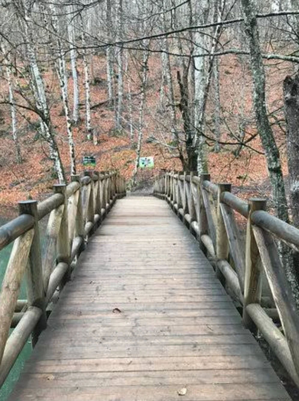 Ters yol kitap kapağı
